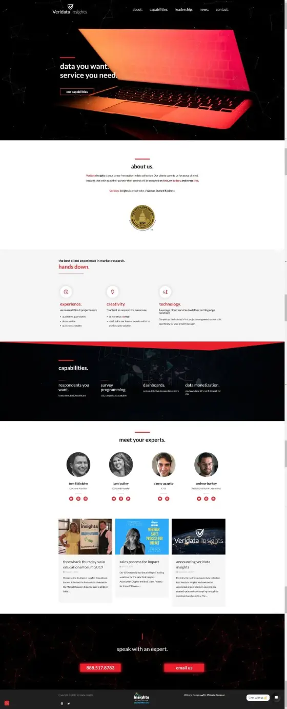Veridata Insights website